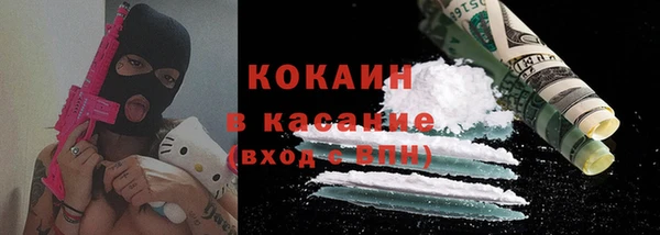 мдпв Елабуга
